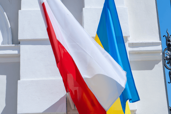 Українці в Польщі. Лідери за кількістю отриманих карт побиту у 2023 році
