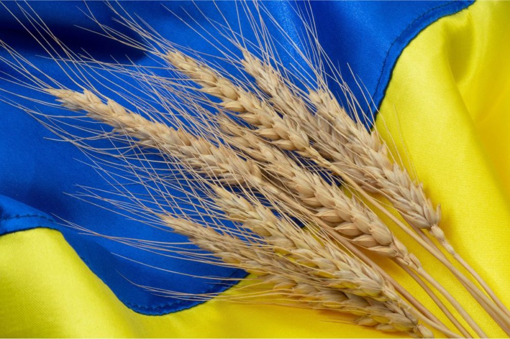 ЄС відновлює квоти на українське зерно, м’ясо та яйця: що це означає