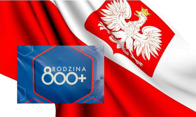 Графік виплат 800+ в Польщі 2025 та інструкція для українців: що робити, якщо заява досі “на розгляді”