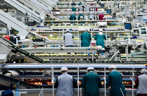 Карта побиту в Польщі без прив’язки до роботи: приклад для членів сім’ї