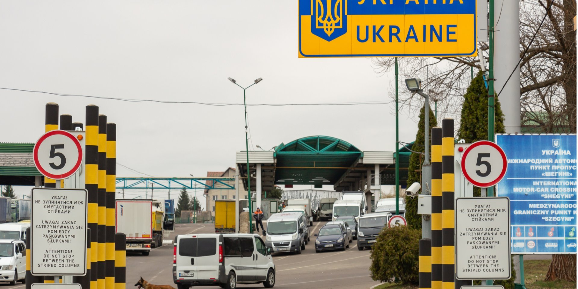 Скільки можна перевозити грошей через кордон: стосується всіх, хто відкладав долари або євро